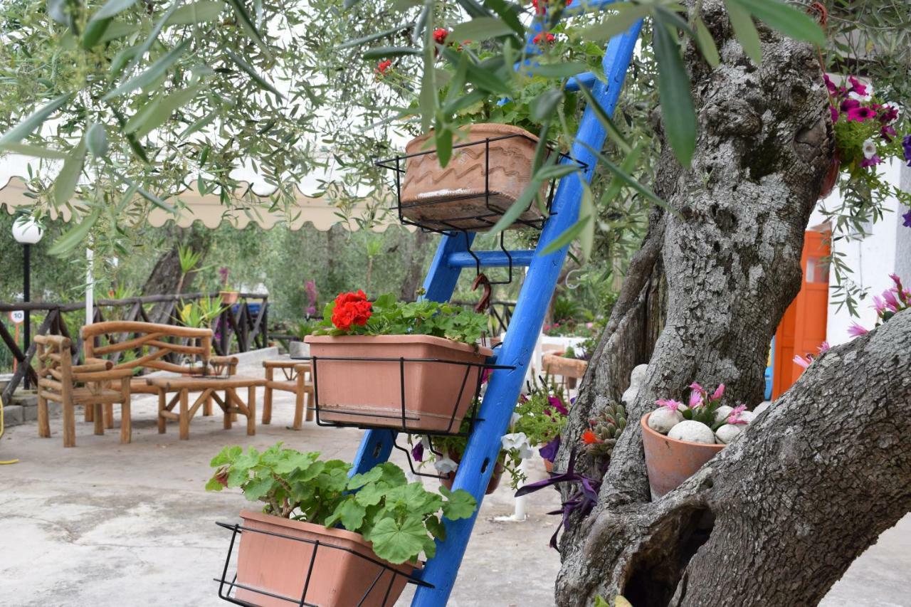 Village Valle D'Oro Aparthotel سان مينايو المظهر الخارجي الصورة