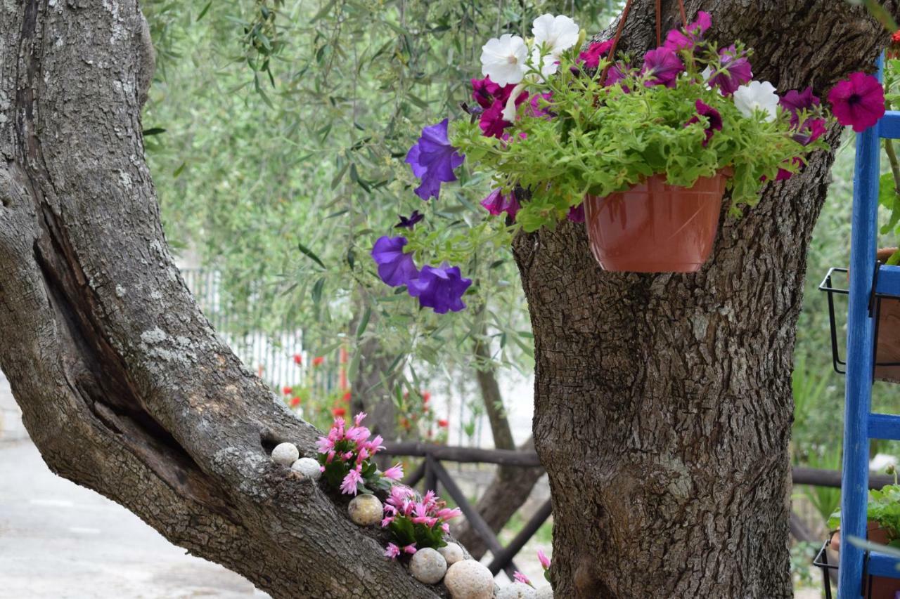 Village Valle D'Oro Aparthotel سان مينايو المظهر الخارجي الصورة